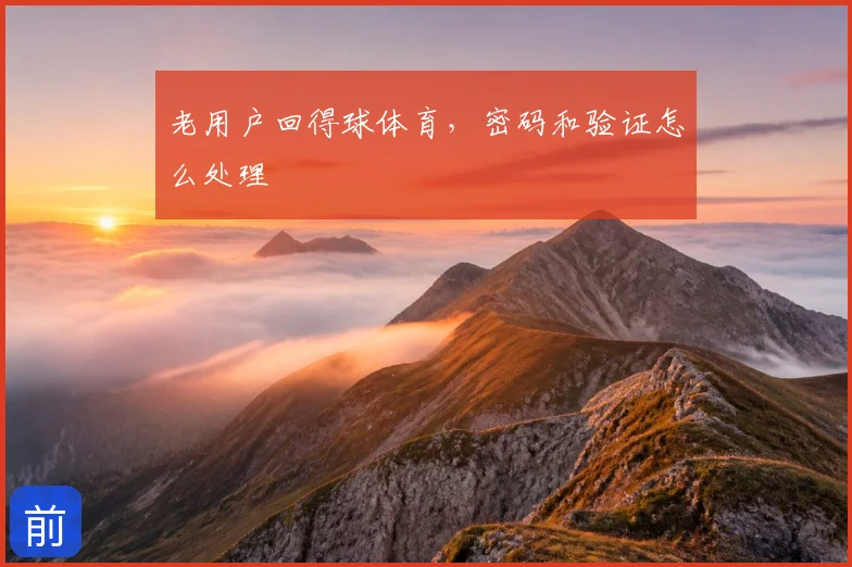 老用户回得球体育,密码和验证怎么处理